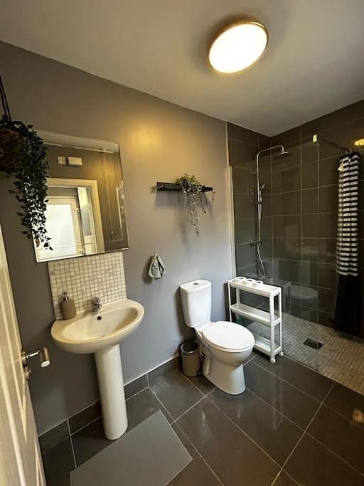 Vibrant City Centre Townhouse With Free Parking Rare Outdoor Patio Μπέλφαστ Εξωτερικό φωτογραφία